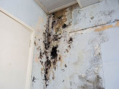 About Safe Water Restoration - water damage restoration experts in Meridian, ID